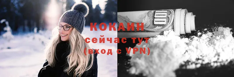 купить закладку  Мегион  Cocaine VHQ 